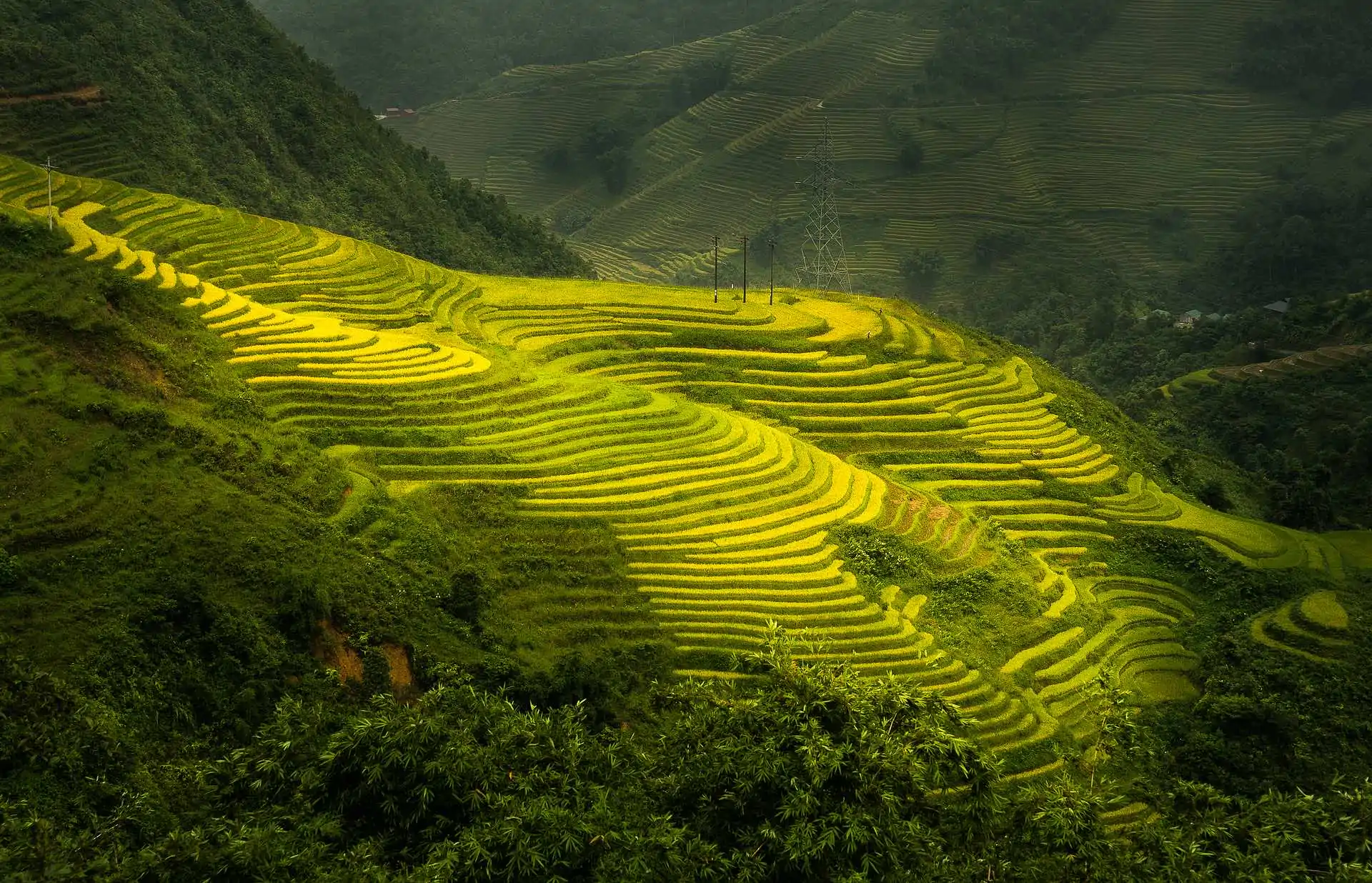 Image by trinhxuandao from Pixabay