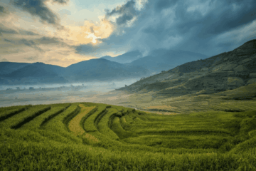 Hey, Sapa tourist, you wanna go trekking with me…