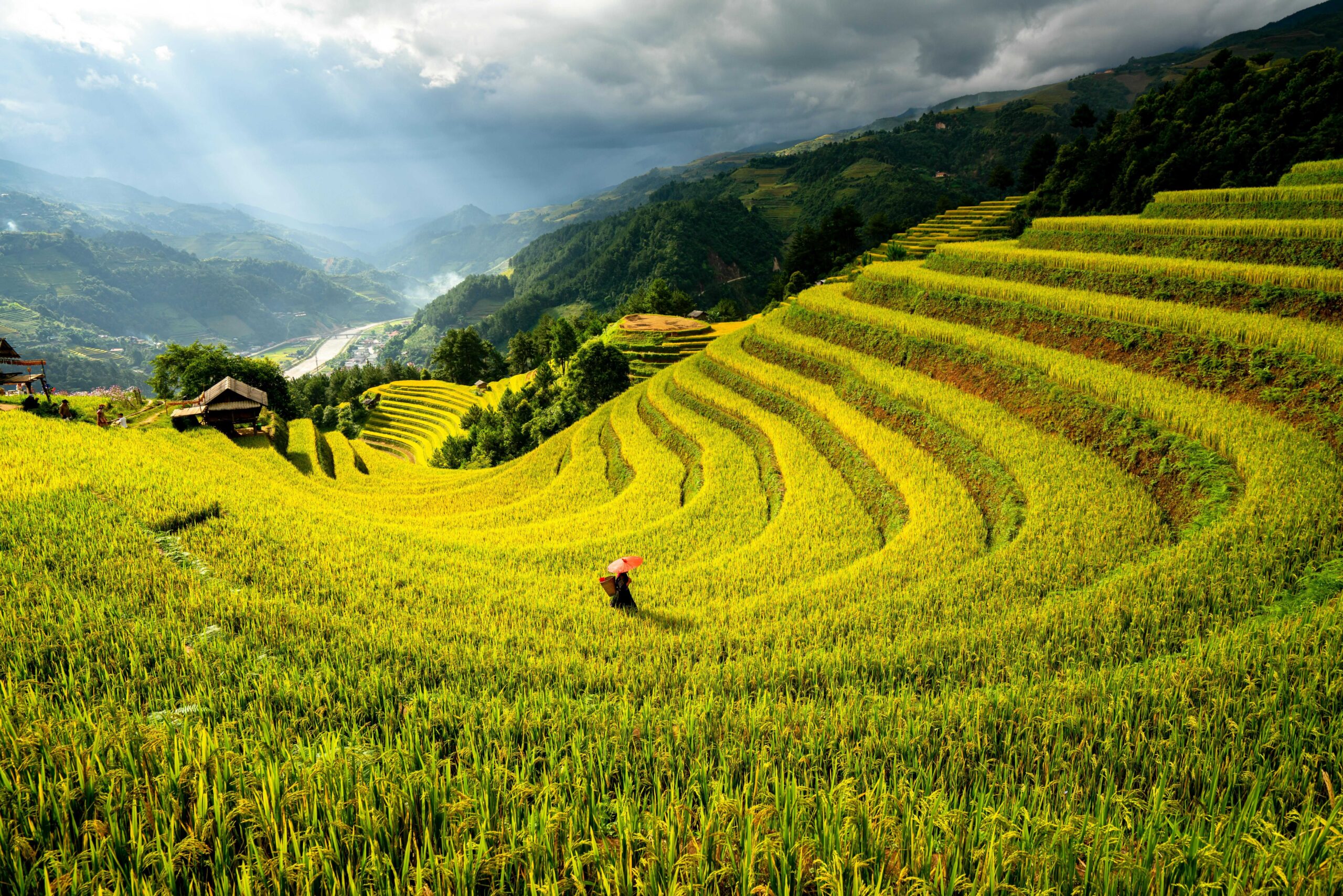 Mu Cang Chai 9 pexels chi n ba 3626645 28894972 4 scaled