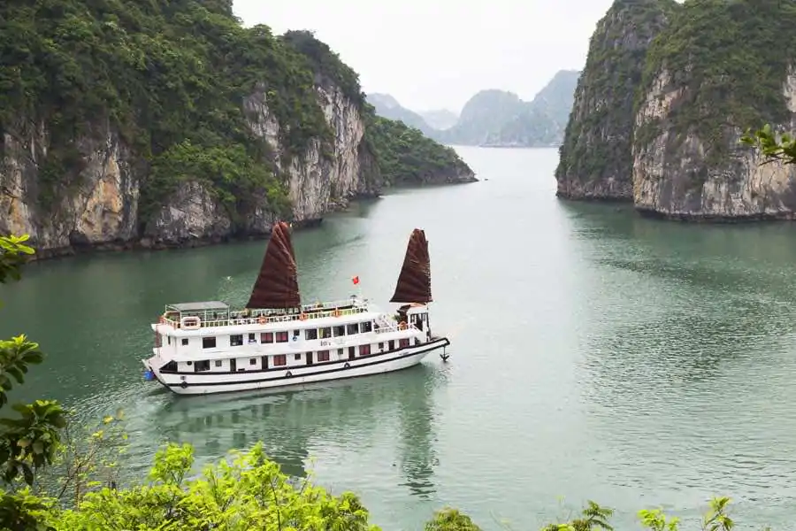 swan cruise overview