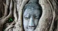 bangkok and chiang mai itinerary