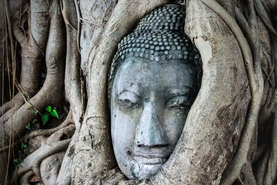 bangkok and chiang mai itinerary