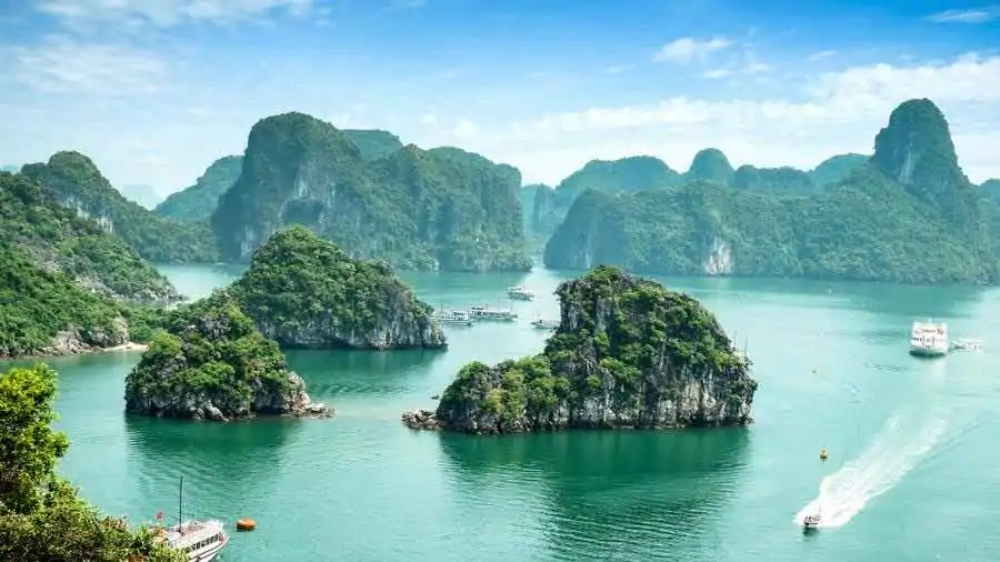 4 halong