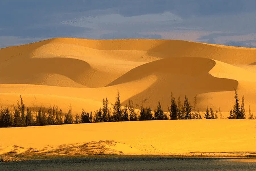 sand dunes in mui ne