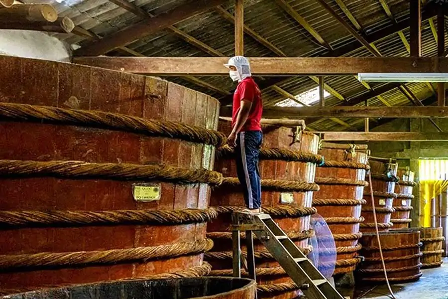 what to do in phu quoc vietnam