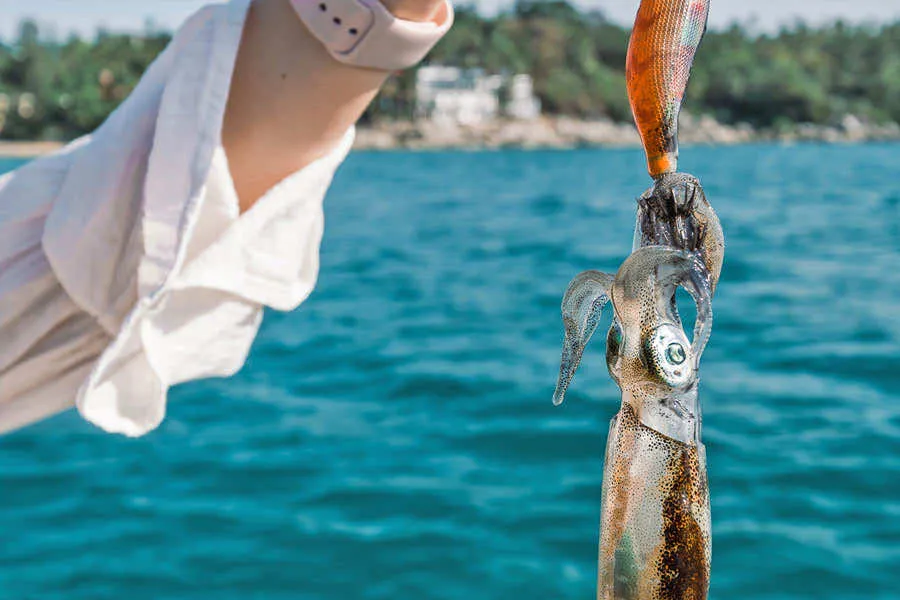 what to do in phu quoc vietnam