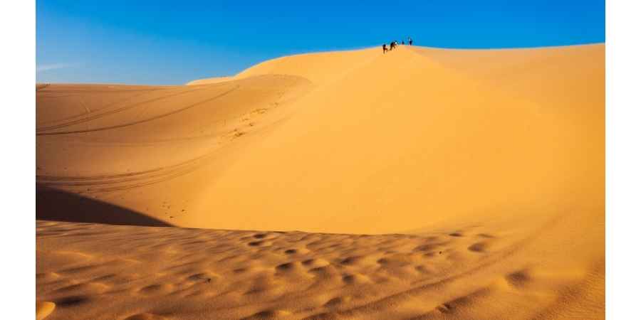 Take stunning photos of the ever changing dunes shaped by the coastal winds 11zon Unique things to do in Vietnam