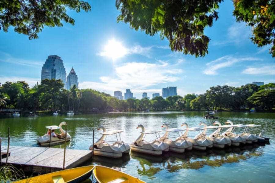 istockphoto 1214019005 612x612 1 Morning at Lumphini Park offers families a peaceful escape with wildlife, local culture, and skyline views in the heart of Bangkok.